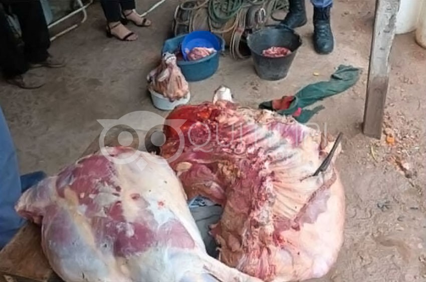 La División Rural decomisó 70 Kg de carne producto de abigeato a un productor de Colonia Uriburu 3
