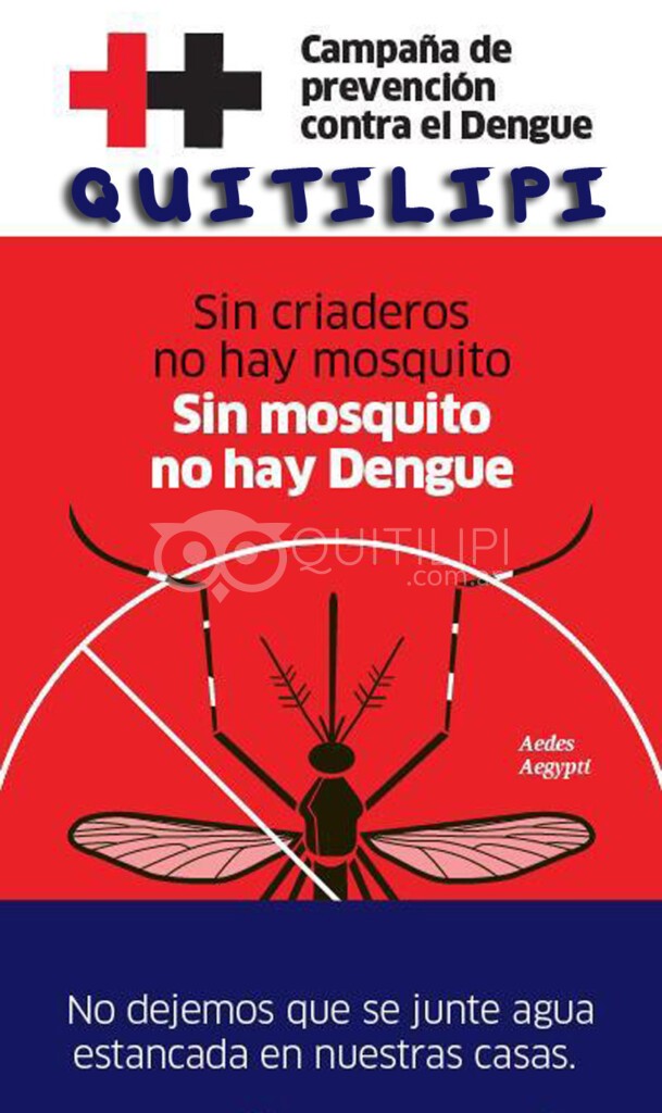 Todos contra el Dengue: despertaron salud pública y municipio 3
