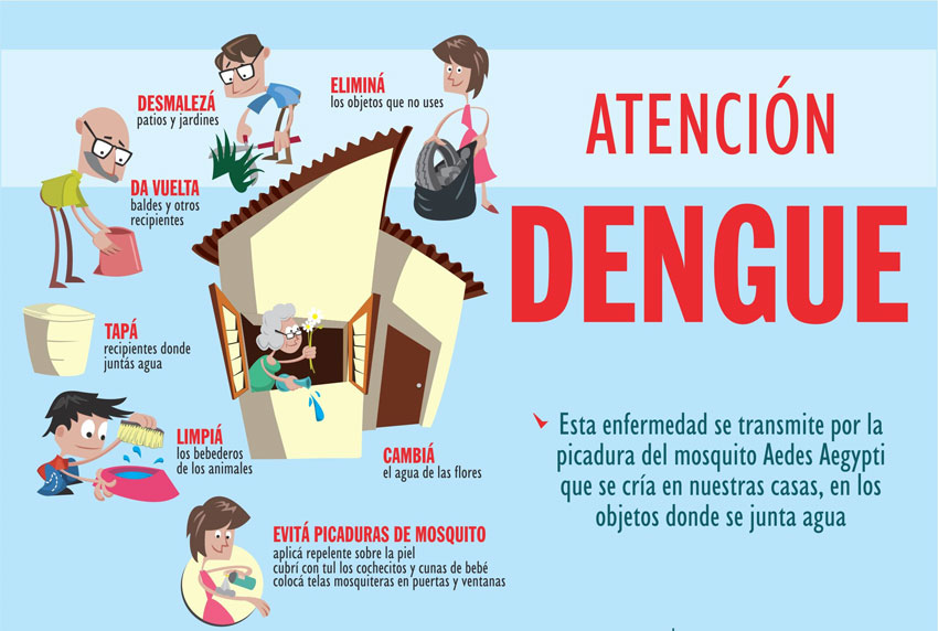 Fuerte operativo contra el dengue 3