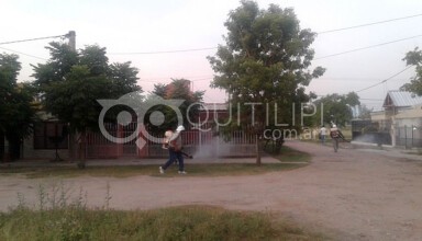 Fuerte operativo contra el dengue 1