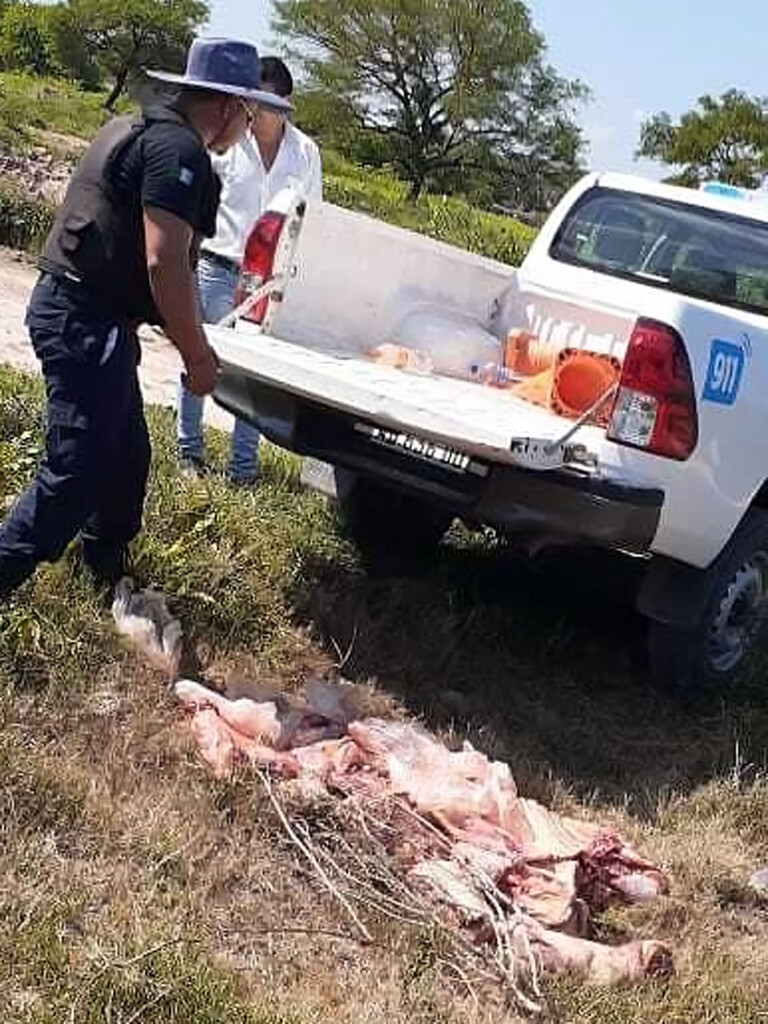 La Policía Rural de Saenz Peña y El Gualtieri incautaron 290 kilos de carne sin sello, no apta para consumo 3