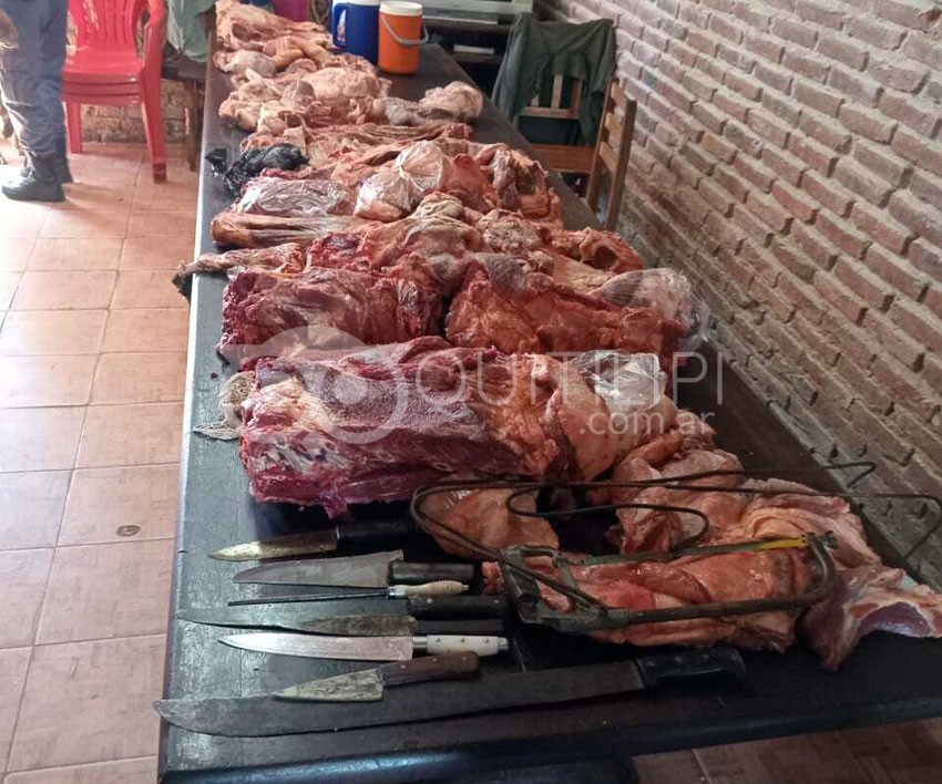La Policía Rural de Saenz Peña y El Gualtieri incautaron 290 kilos de carne sin sello, no apta para consumo 15