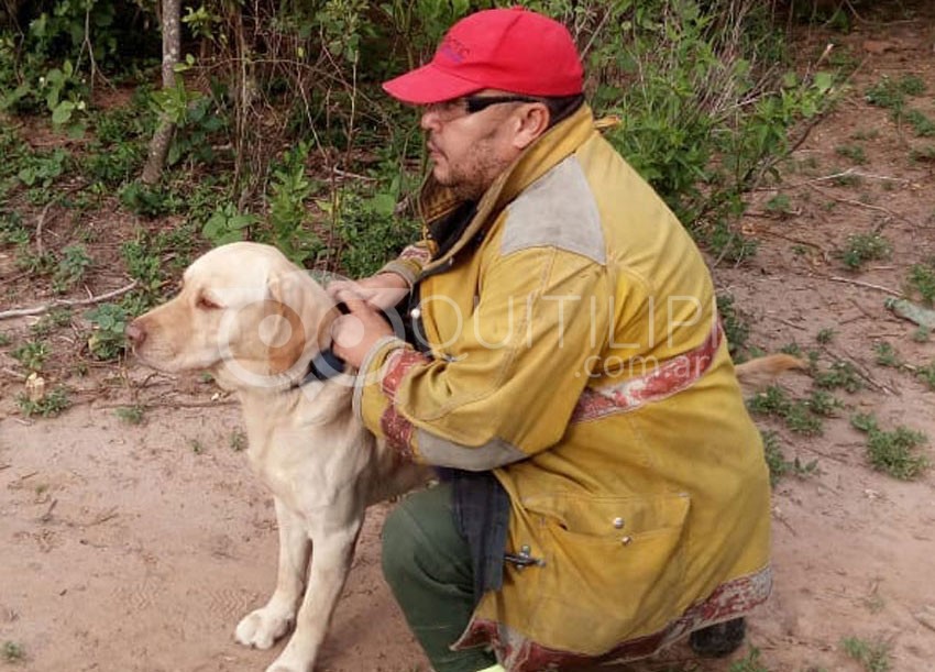 Tupac el K9 de Bomberos Voluntarios de argentina descansa en paz 16