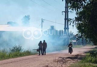 No des lugar al Dengue. Continúa el operativo de concientización y descacharrado domiciliario 22