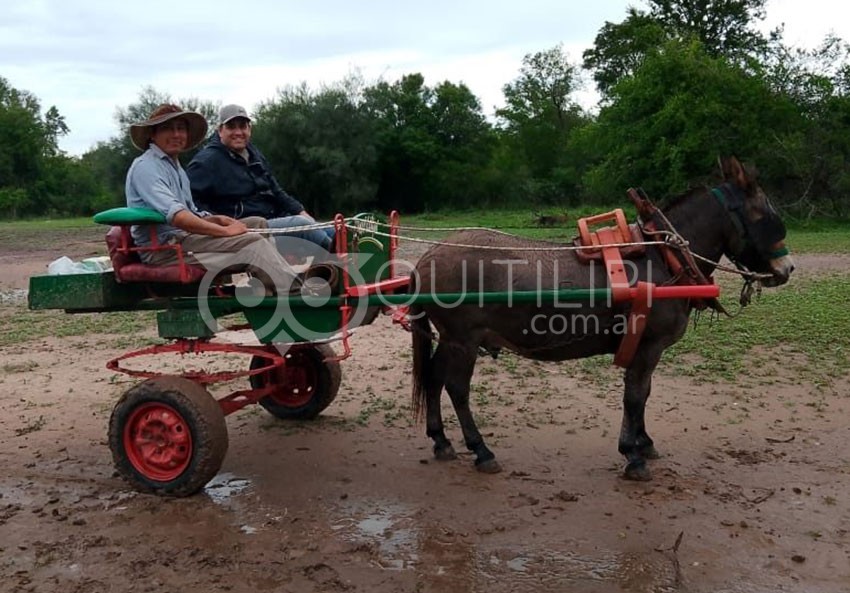 Cuando la tarea docente va más allá de formar sus alumnos 21