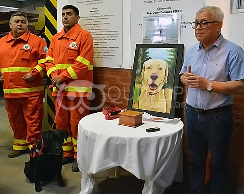 Bomberos Voluntarios de Argentina: 141 años de servicio a la comunidad 28