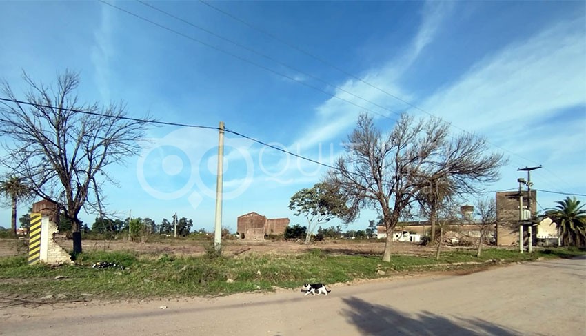 La municipalidad avanzó sobre un sector abandonado que preocupaba a un amplio sector de los Barrios Santa Rosa y Quinta 47 16