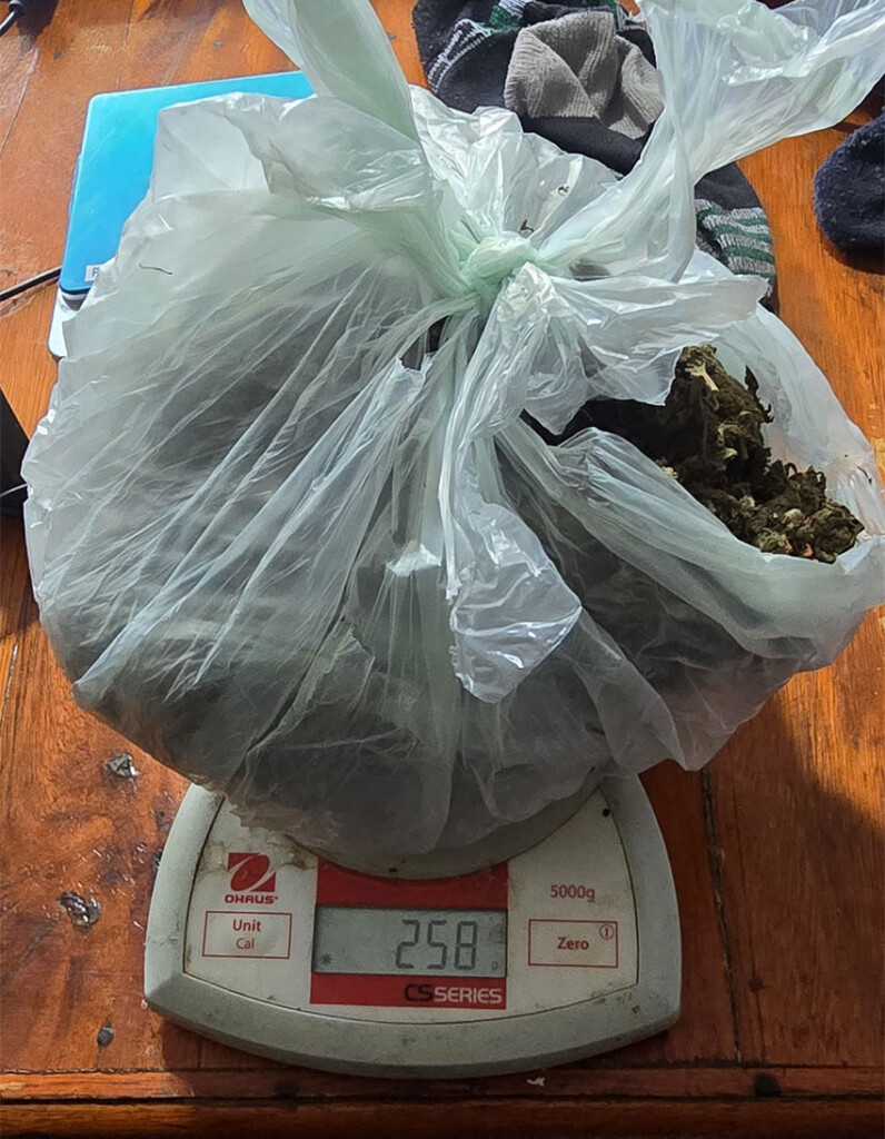 Allanan el domicilio de una mujer que mantenía a los vecinos en vilo 19