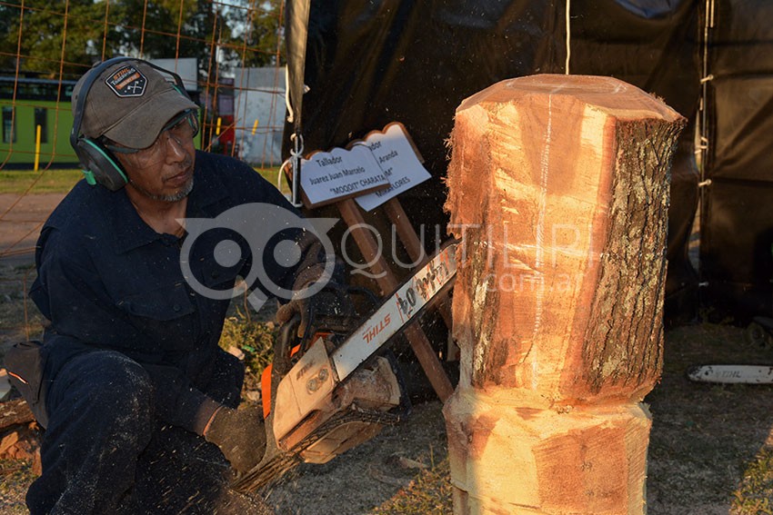 Apertura de un fin de semana cultural con el inicio del 13° Encuentro de Talladores en Madera "Francisco Ferrer" 8