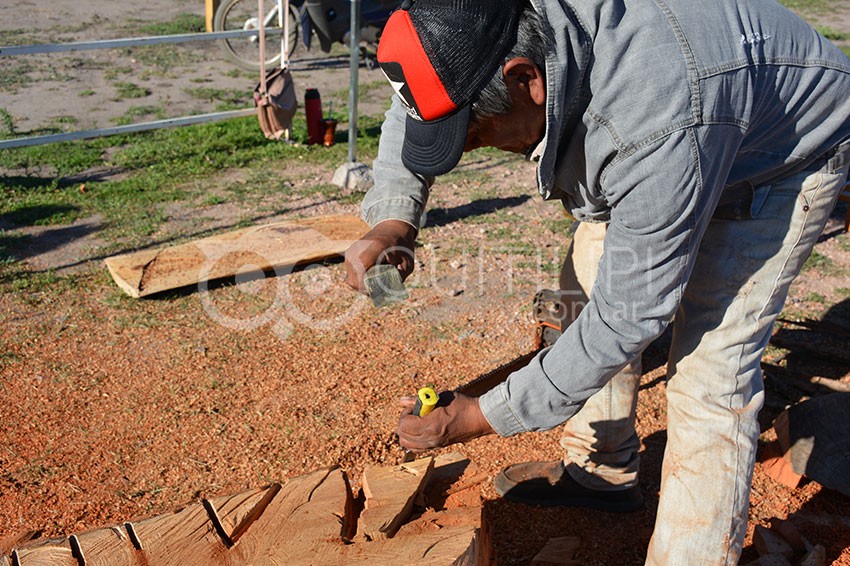 Se viene el 13° encuentro de talladores en madera "Francisco Ferrer" 18