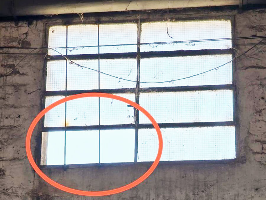 Reconocido por sus andanzas, una vez más "Marihua" terminó detrás de las rejas 8