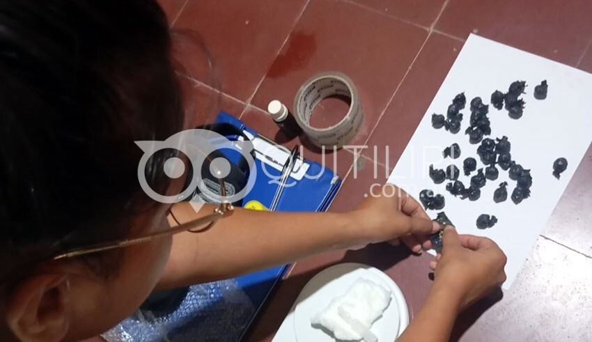 Detienen a una mujer por la venta de droga en el Barrio Quinta 49 13