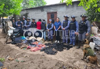 Golpe al abigeato: olfato clave para desbaratar a una banda tras un robo de ganado 11