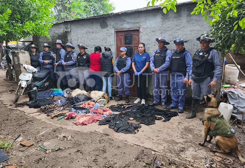 Golpe al abigeato: olfato clave para desbaratar a una banda tras un robo de ganado 4