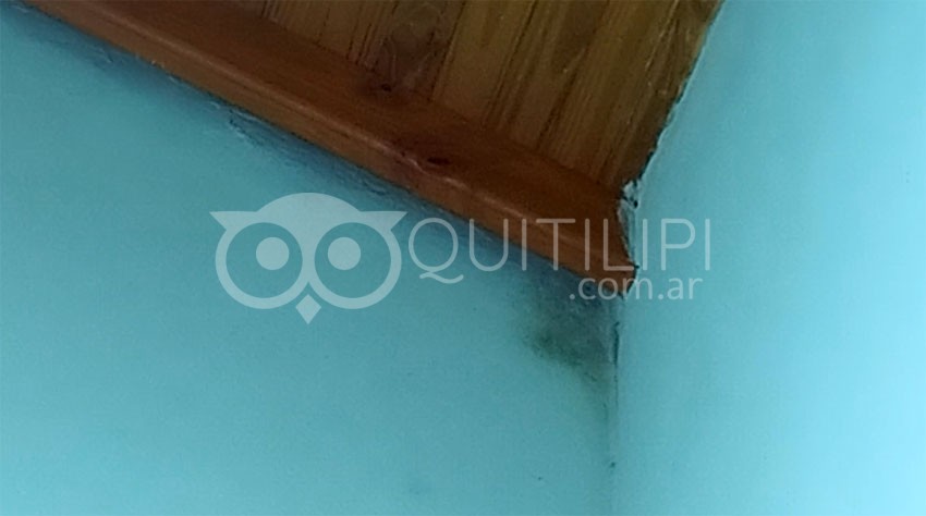 Registro Civil 1: evalúan reparar el techo por filtraciones y analizan la demorada ampliación del edificio 13