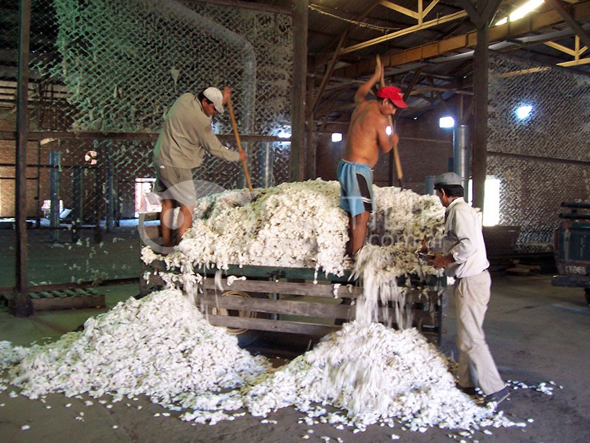 87 años de historia: la Cooperativa Unión y Trabajo y un legado de servicio al hombre de campo 20