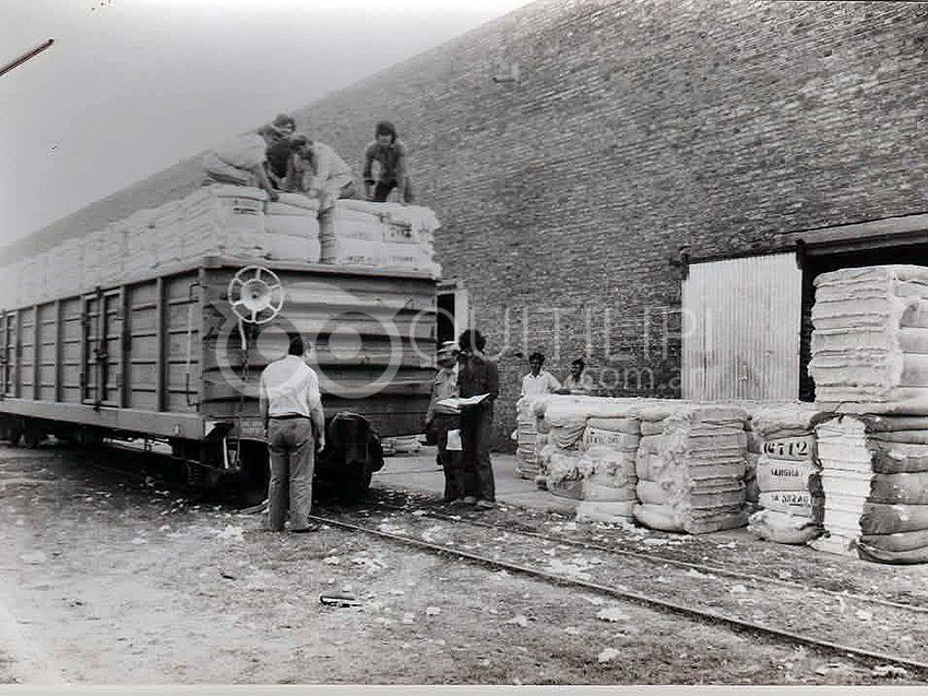 87 años de historia: la Cooperativa Unión y Trabajo y un legado de servicio al hombre de campo 6