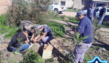 Conmoción en Quitilipi: un vecino buscaba leña en un basural y encontró un cráneo humano - Quitilipi.com.ar Conmoción en Quitilipi: un vecino buscaba leña en un basural y encontró un cráneo humano 1