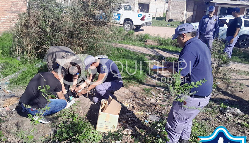 Conmoción en Quitilipi: un vecino buscaba leña en un basural y encontró un cráneo humano 13